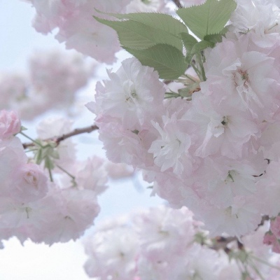 兽设拟人化设计实用技巧FurryQQ群